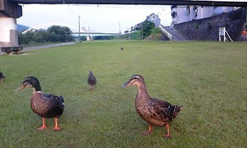 大雨の後も、無事!!