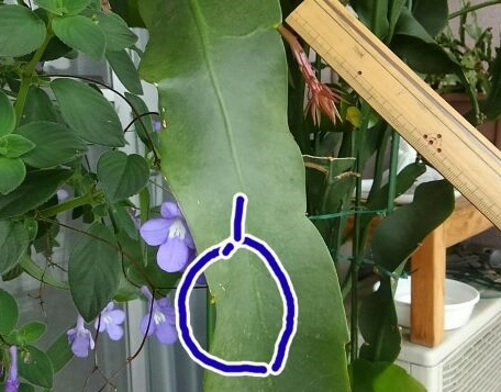 その後