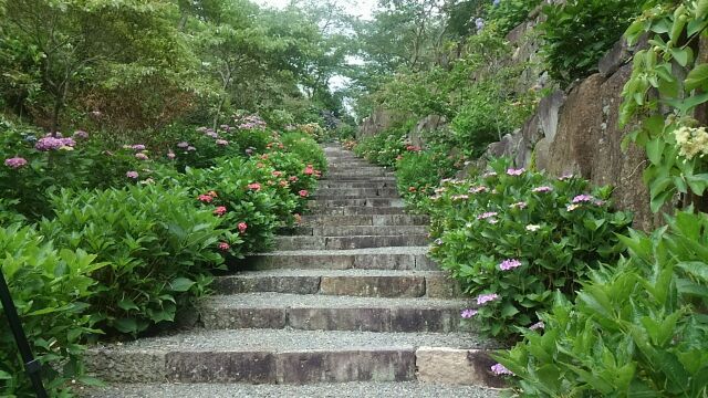 花の桃源郷…ひろ~ぃ!!