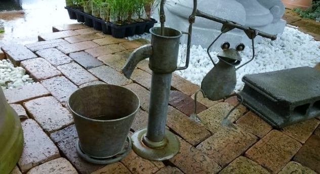 カエルの水汲み