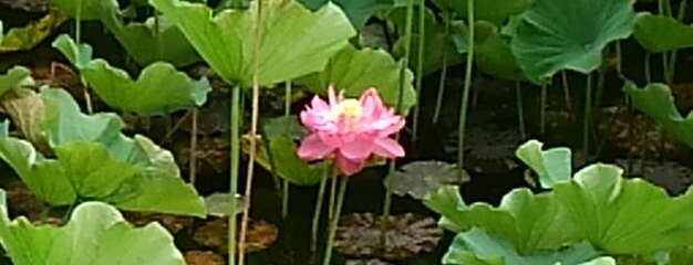 目がさめました