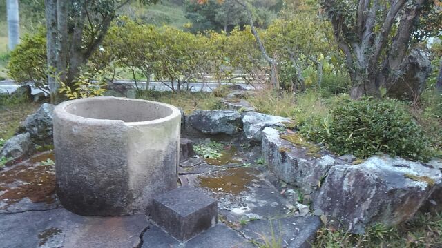 寒蕨って、聞くも、見るも初めて…