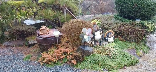雨降って…イキイキ