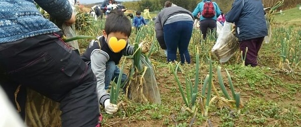 老いも若きも…夢中