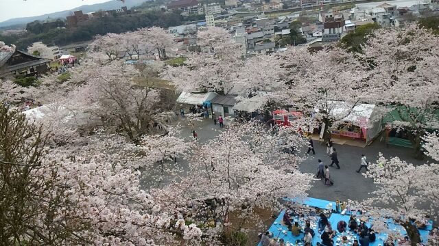 土曜日の鶴山で…