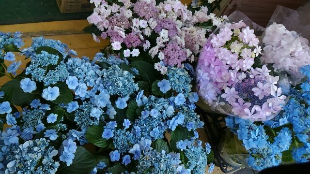 隅田の花火とダンスパーティー