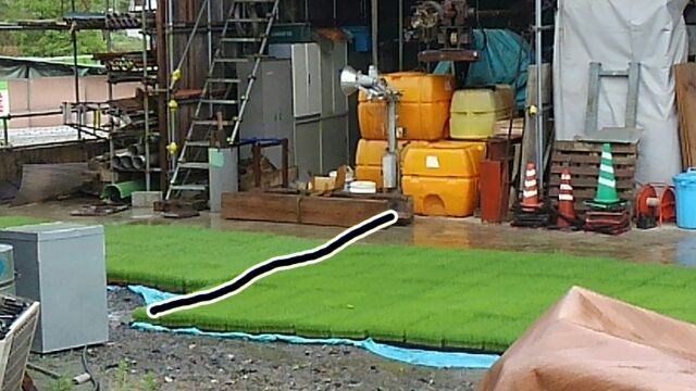 田植え間近…