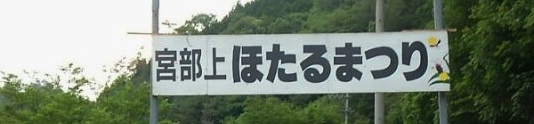 ホタル…乱舞、見れました