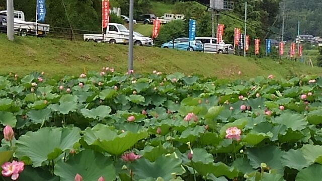 花はす公園へ…