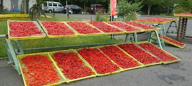 日差しの合間に…