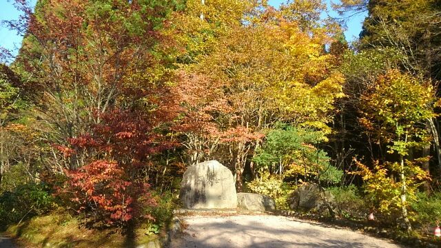 マユミの花を見に行ったのですが…