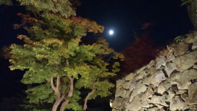 あぁ、荒城の夜半の月♪