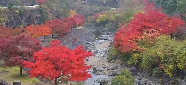 備前市八塔寺川に寄り道