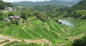 自然の美ってすごい!