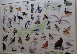 勉強不足でした…県鳥所在地