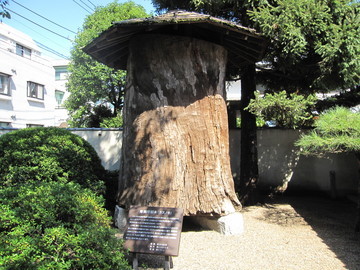 東京小平市に平櫛田中彫刻
