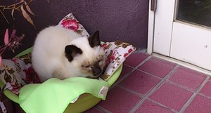 寒くなりましたね～