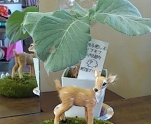 癒しのモフモフ