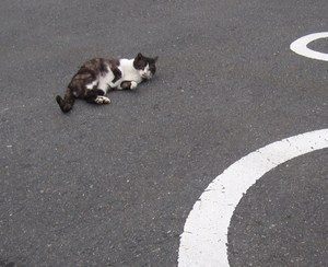 最大のアピール…