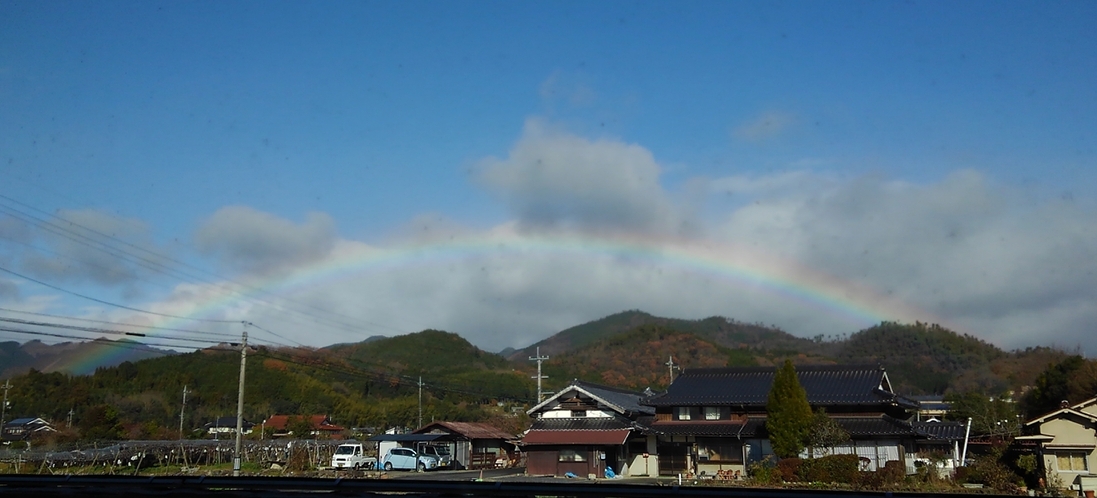 すっごく綺麗！！！