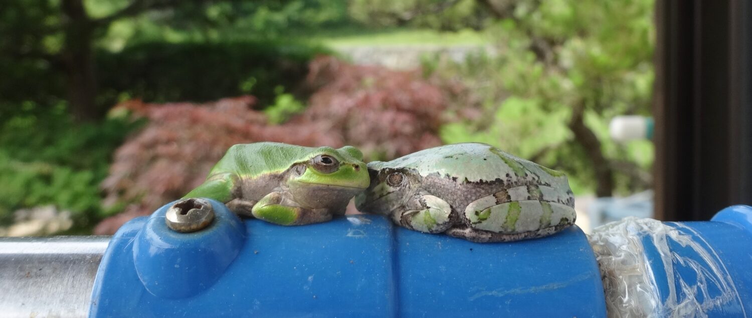 仲良しですよ
