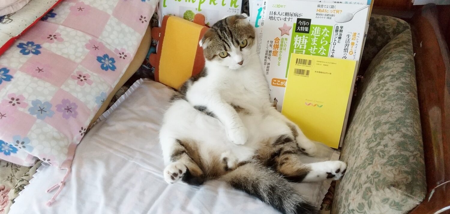 スコットランド生まれ