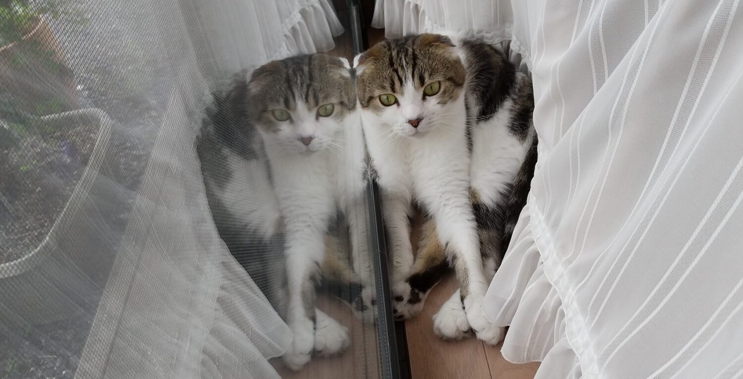 可愛いすぎる～