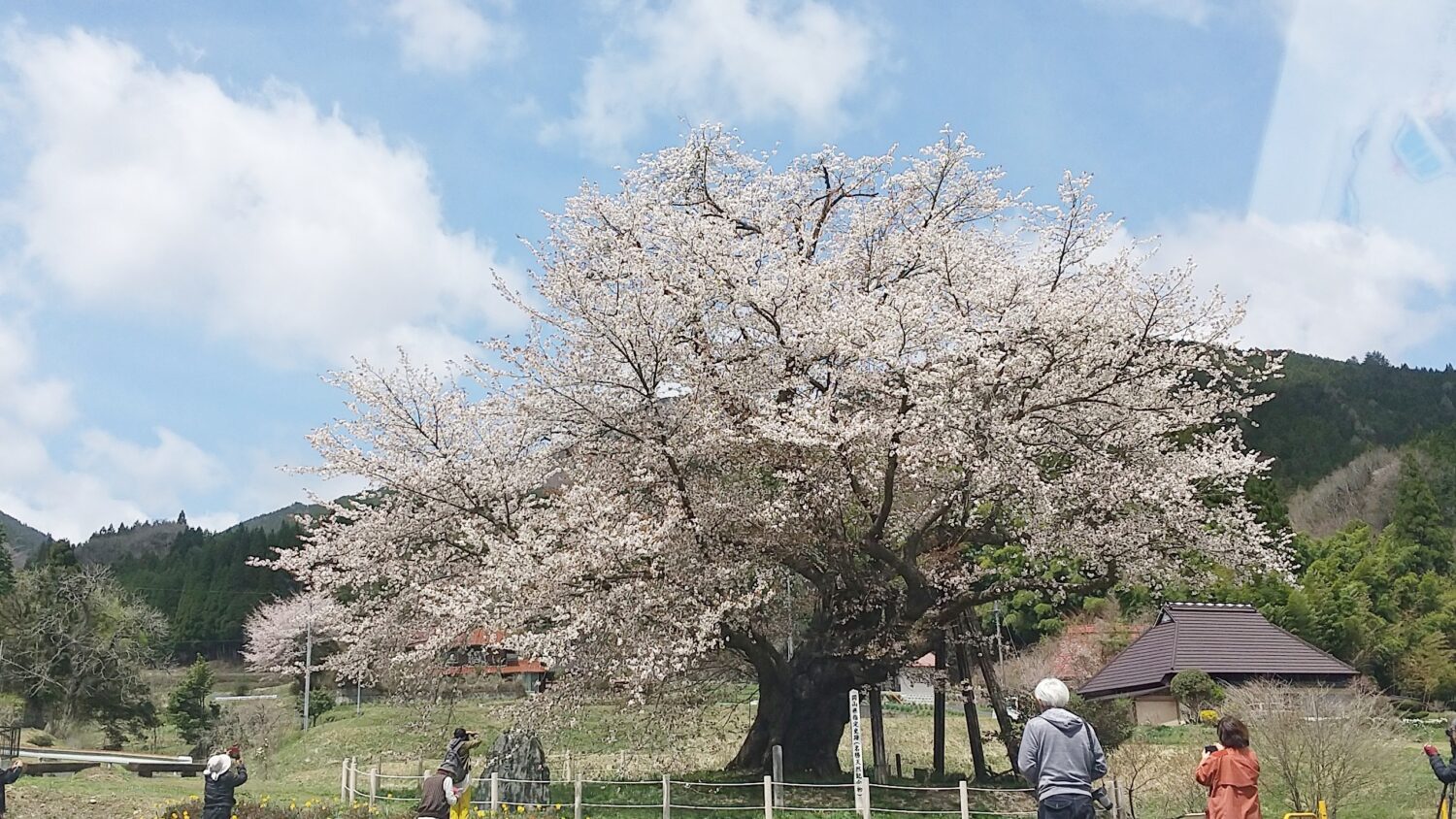 今日も晴天に恵まれそうです