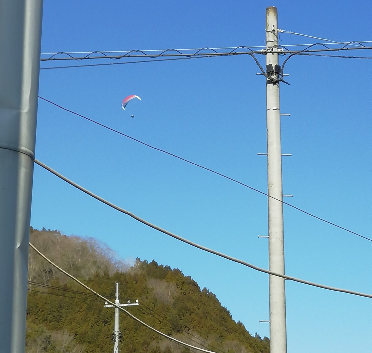 現場近くにハングライダーが降りてきたΣ(゚Д゚)