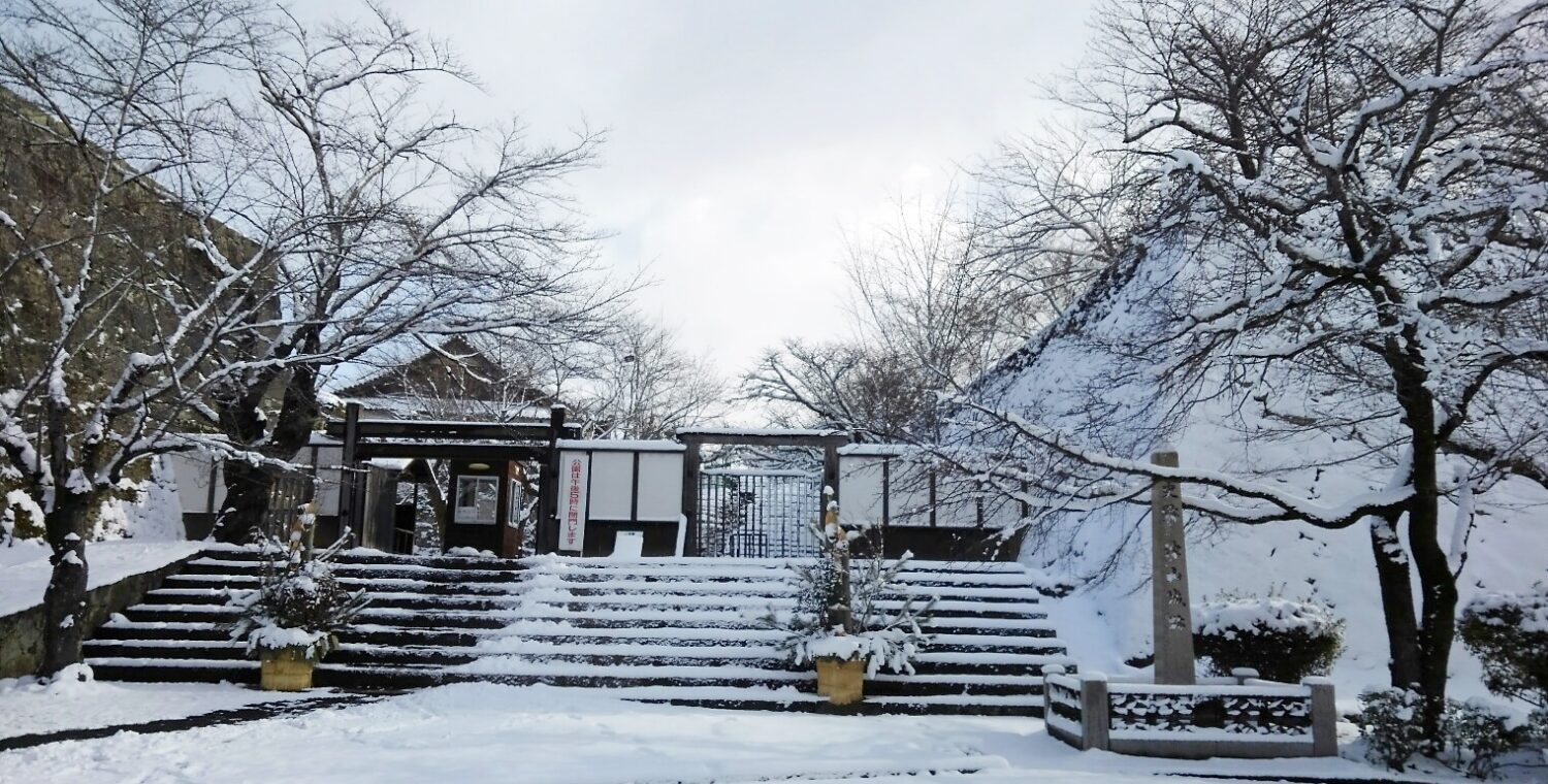 15日寒い1日でしたね❄❄❄