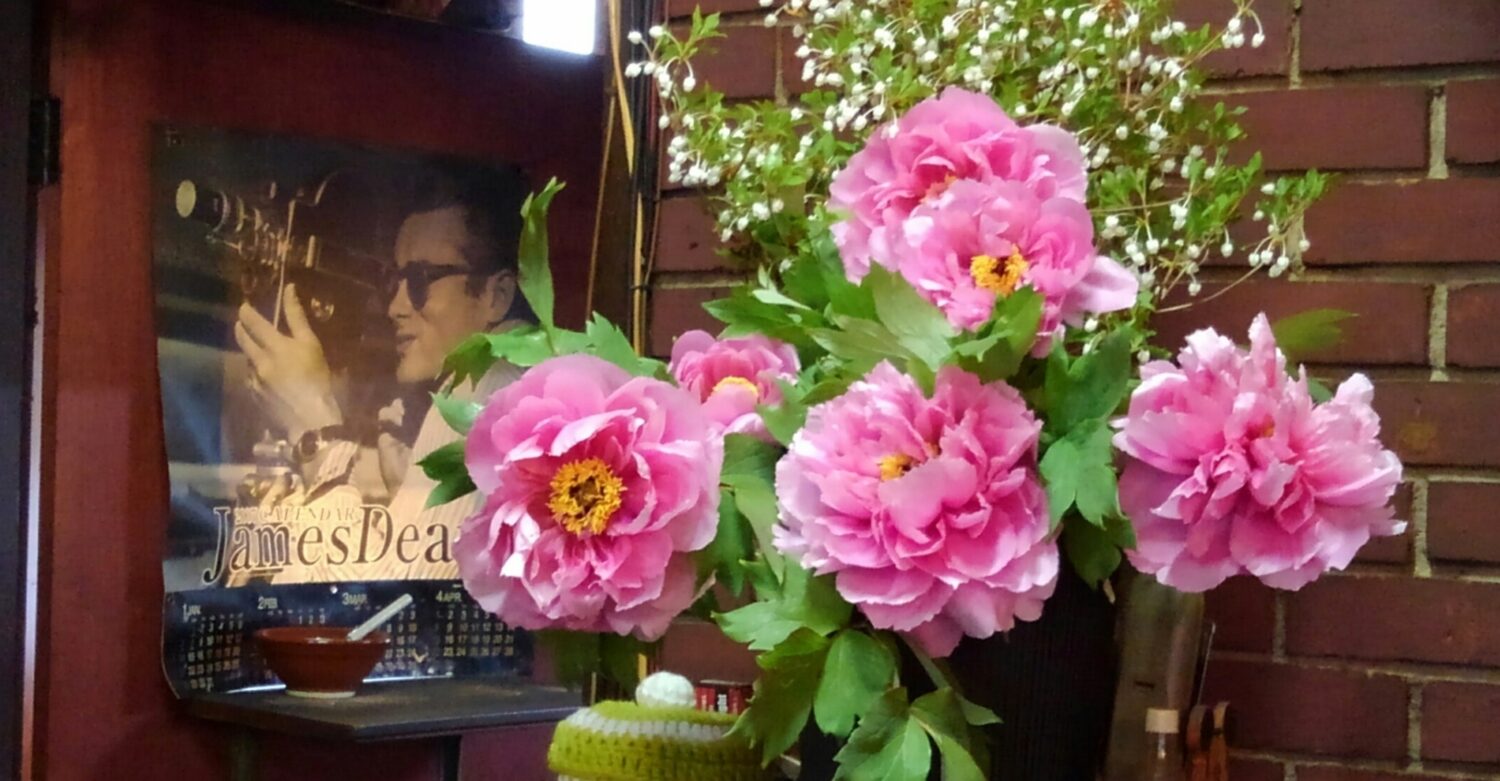 James Dean と牡丹