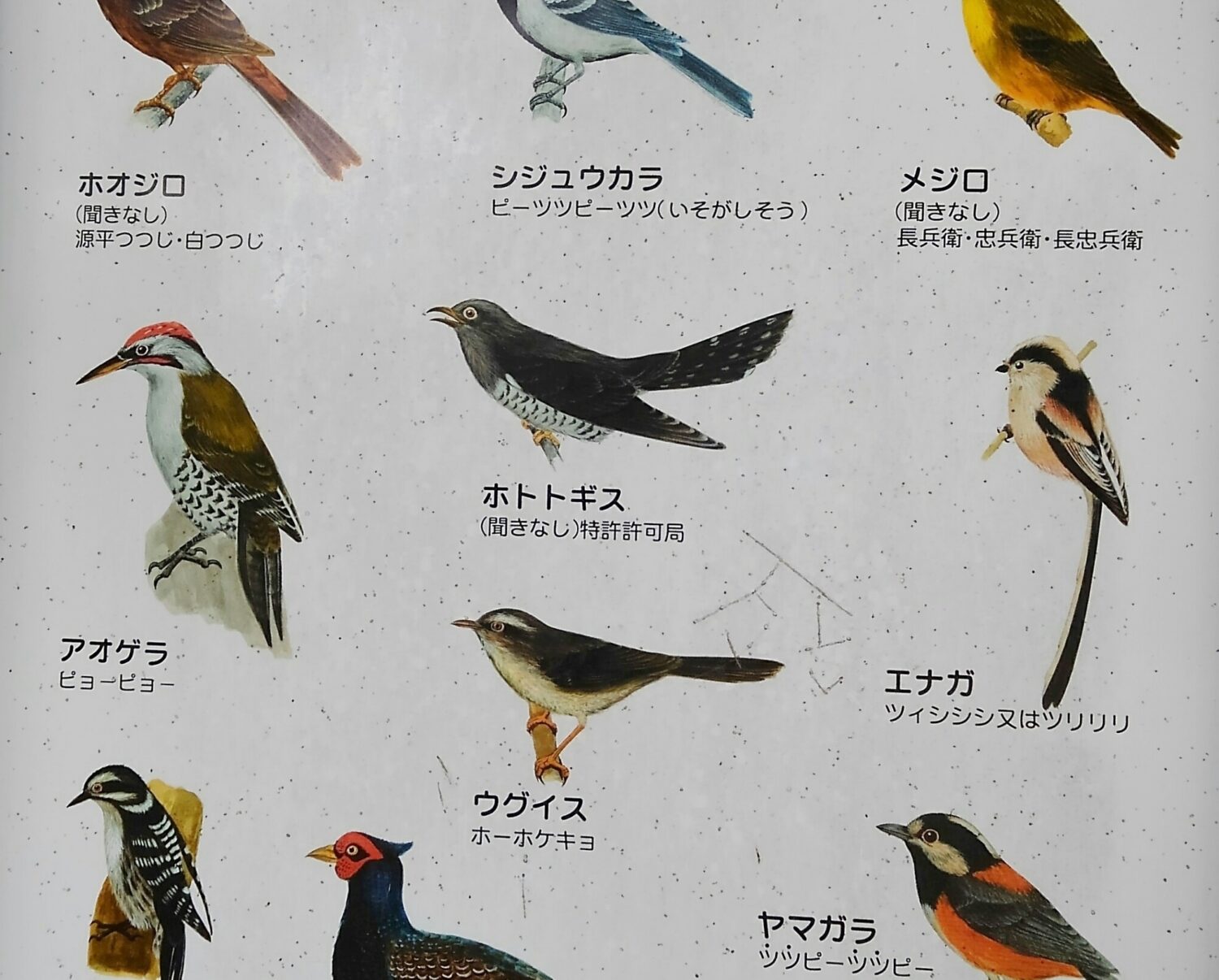 〇〇特許許可局…