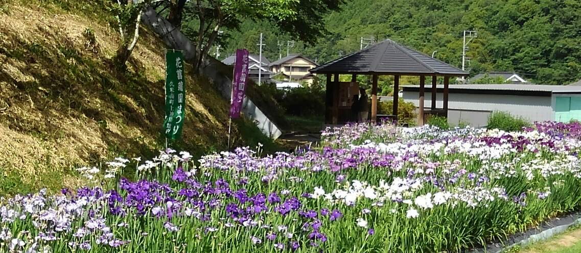 １３アールの花畑