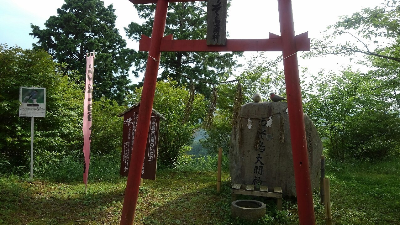 うそとり大明神