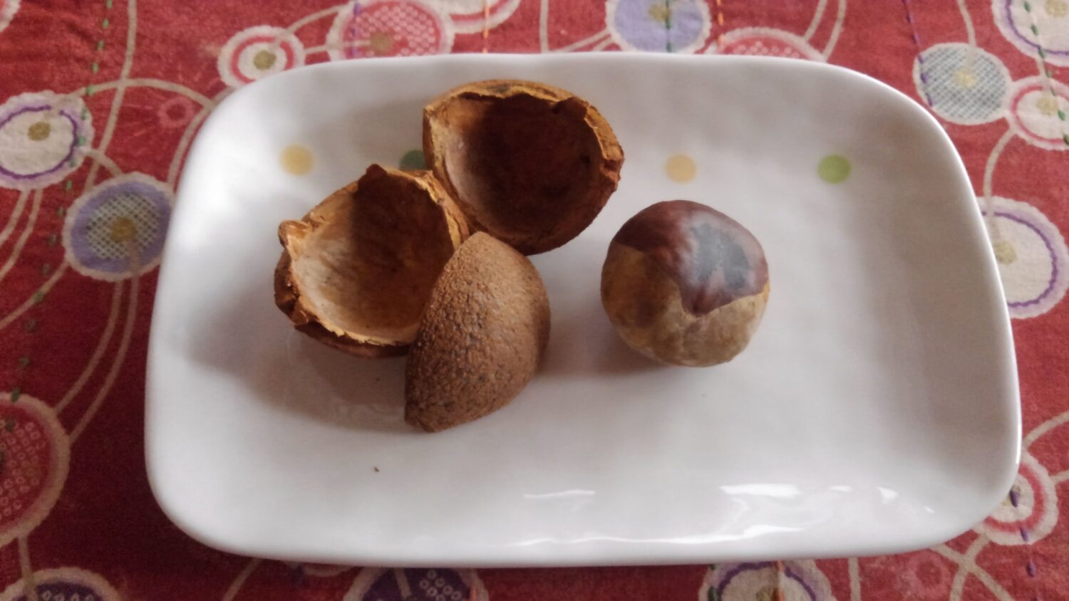 現場からのお土産