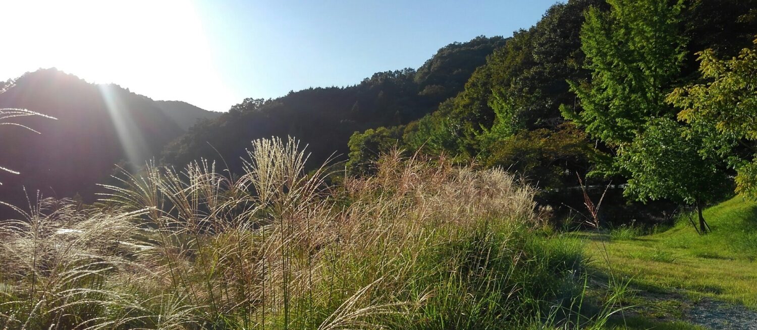 山は秋本番