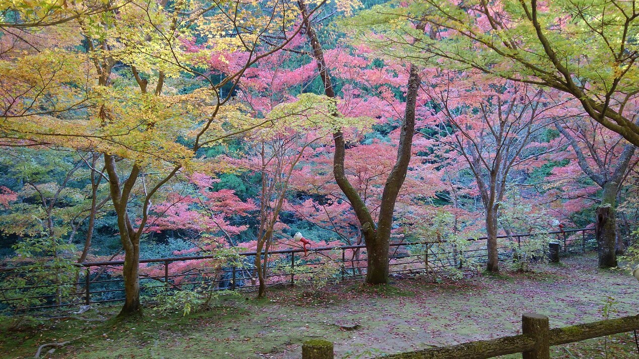 ぽかぽか陽気の日中でした・（パートⅠ）
