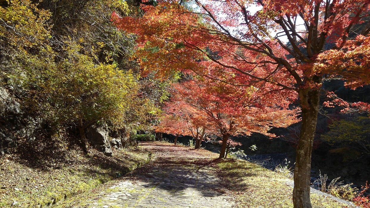 八塔寺川ダム公園