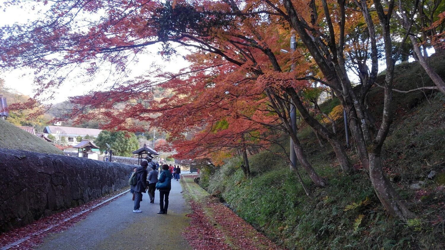 閑谷学校は大賑わい