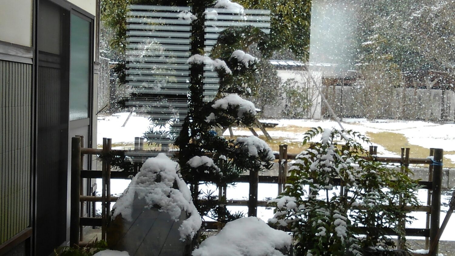ホントニ良く降りますね～❄
