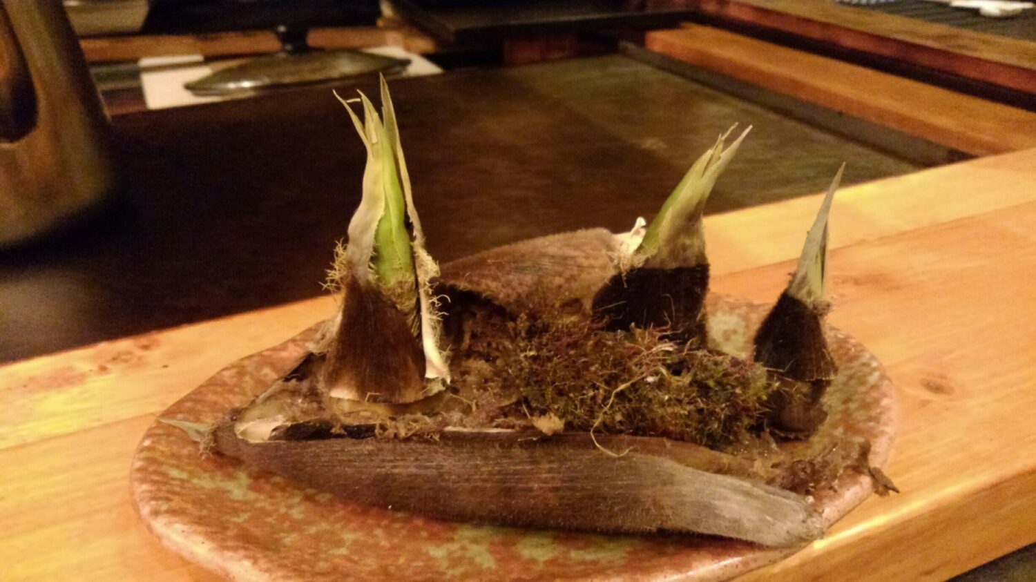 たけのこ作品