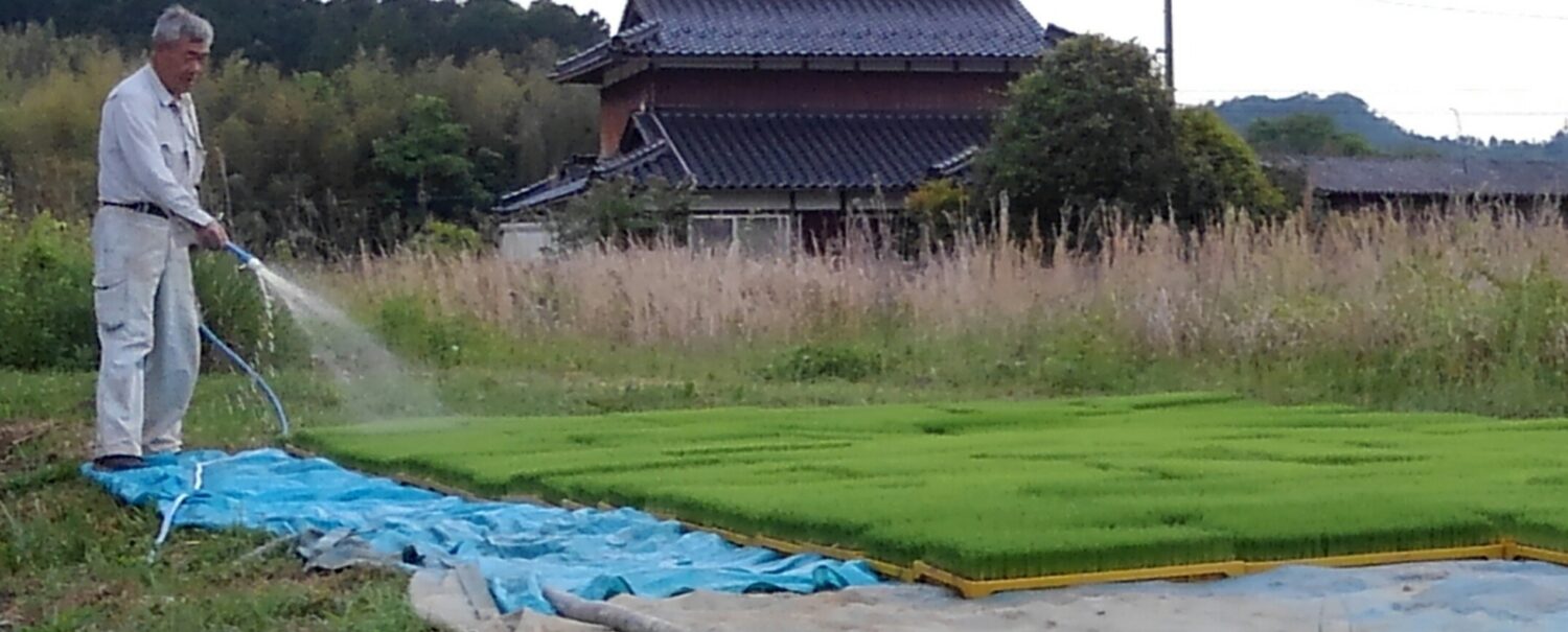 農作業も忙しくなります