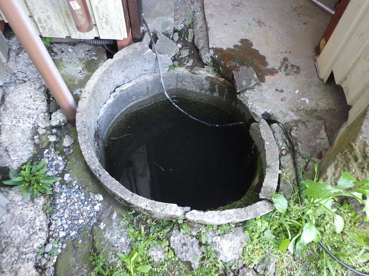 バケツで水やりしてました