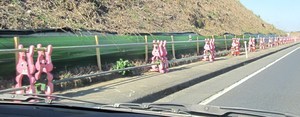 可愛い 現場
