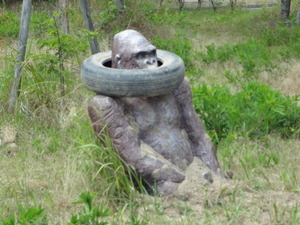お洒落 ? な? ゴリラ
