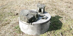 生命の根元